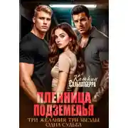 Постер книги Пленница Подземелья