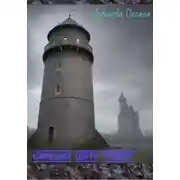 Постер книги Камешки цвета «графит»