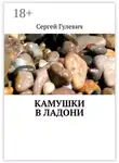 Сергей Гулевич - Камушки в ладони