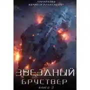 Постер книги Звездный бруствер. Книга 3