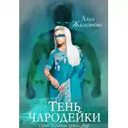 Постер книги Тень чародейки