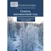 Постер книги Сквозь високосный год. Поэтические хроники. Книга первая