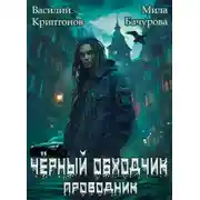 Постер книги Черный обходчик
