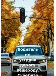 Алексей Лезин - Водитель не уступил дорогу пешеходу. Судебная практика кассационных судов