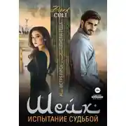 Постер книги Шейх. Испытание судьбой