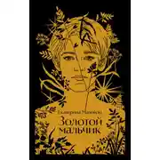 Постер книги Золотой мальчик