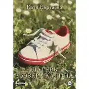 Постер книги Лагерь у озера Калина