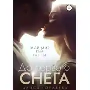 Постер книги До первого снега