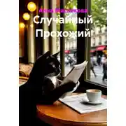 Постер книги Случайный прохожий