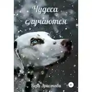 Постер книги Чудеса случаются