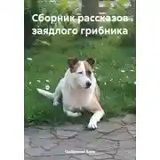 Постер книги Сборник рассказов заядлого грибника