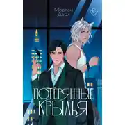 Постер книги Потерянные крылья