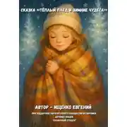 Постер книги Тёплый плед и зимние чудеса. Сказка