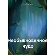 Постер книги Необыкновенное чудо