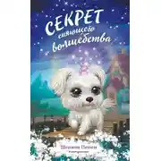 Постер книги Секрет сияющего волшебства