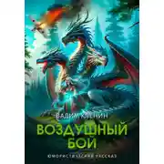 Постер книги Воздушный бой