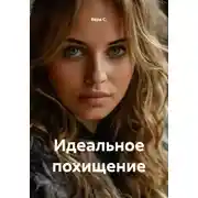 Постер книги Идеальное похищение