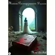 Постер книги Тайны Растерзанной Долины