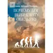 Постер книги Что это было?