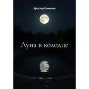 Постер книги Луна в колодце