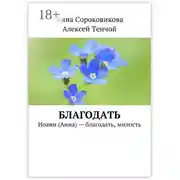 Постер книги Благодать. Иоанн (Анна) – благодать, милость