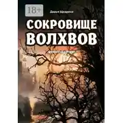 Постер книги Сокровище волхвов. Роман-фэнтези