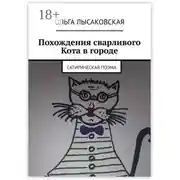 Постер книги Похождения сварливого Кота в городе. Сатирическая поэма