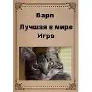 Постер книги Лучшая в мире игра
