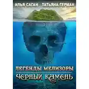 Постер книги Черный Камень