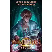 Постер книги Тайный паладин 4: Мастер