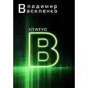Постер книги Статус B