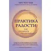 Постер книги Практика радости. Как отдыхать осознанно