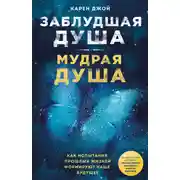 Постер книги Заблудшая душа – мудрая душа. Как испытания прошлых жизней формируют наше будущее