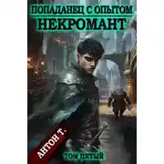 Постер книги Попаданец с опытом. Некромант. Том пятый