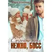 Постер книги Согрейте меня нежно, босс!