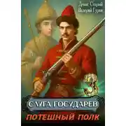 Постер книги Потешный полк