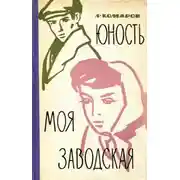Постер книги Юность моя заводская