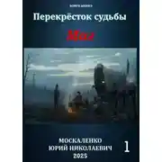 Постер книги Перекресток судьбы 2. Маг. Книга первая