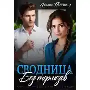 Постер книги Сводница без тормозов