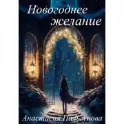 Постер книги Новогоднее желание