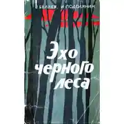 Постер книги Эхо черного леса