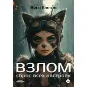 Постер книги Взлом
