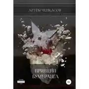 Постер книги Принцип бумеранга