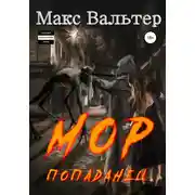 Постер книги Мор. Попаданец