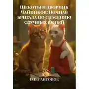 Постер книги Щекоты и дворник Чайников: Ночная бригада по спасению скучных вещей