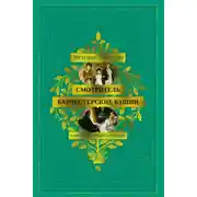 Постер книги Смотритель. Барчестерские башни