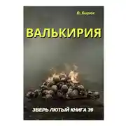Постер книги Валькирия
