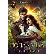 Постер книги Попаданка под прицелом