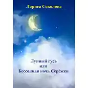 Постер книги Лунный гусь, или Бессонная ночь Серёжки