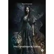 Постер книги Неслучайная встреча